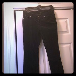 Ann Taylor Velour Finish Denim boot cut jeans